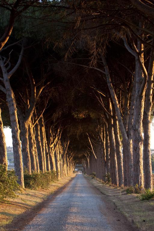Agriturismo Pantano Borghese Monte Compatri Eksteriør billede