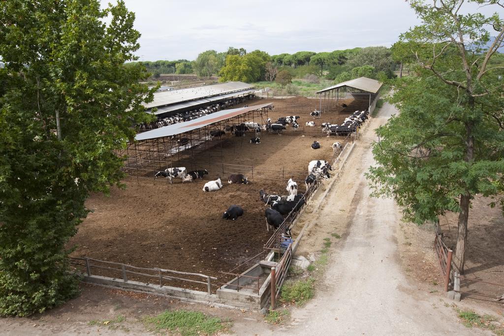 Agriturismo Pantano Borghese Monte Compatri Eksteriør billede