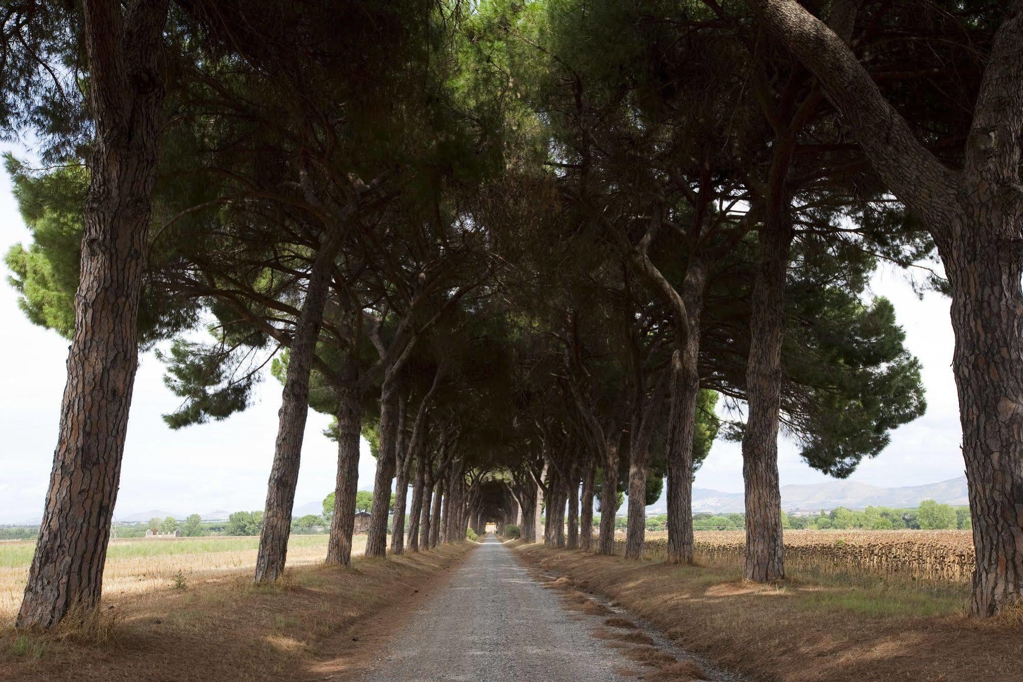 Agriturismo Pantano Borghese Monte Compatri Eksteriør billede